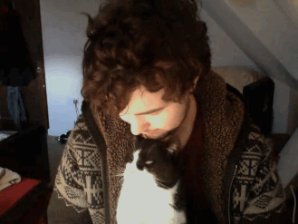 Хозяин целует кошку в макушку