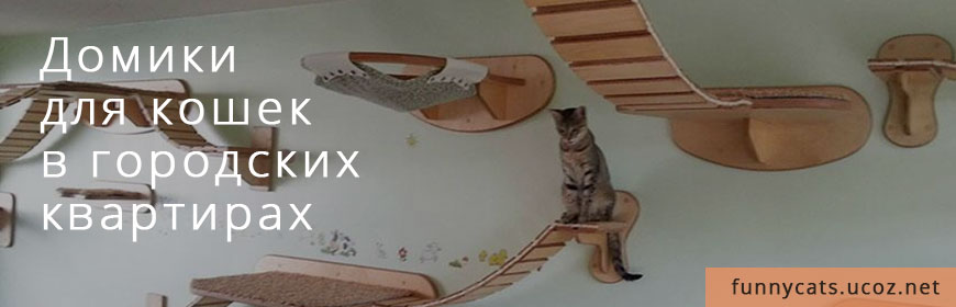 Домики для кошек в городских квартирах