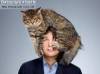 Смешные фото кошек фон для сайта Живая шапка из кошки
