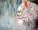 Смешные фото кошек фон для сайта Зимняя розовая кошка