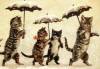 Смешные кошки и котята фон для сайта Гуляющие под зонтом