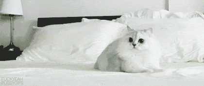 Скоростной снежный котенок